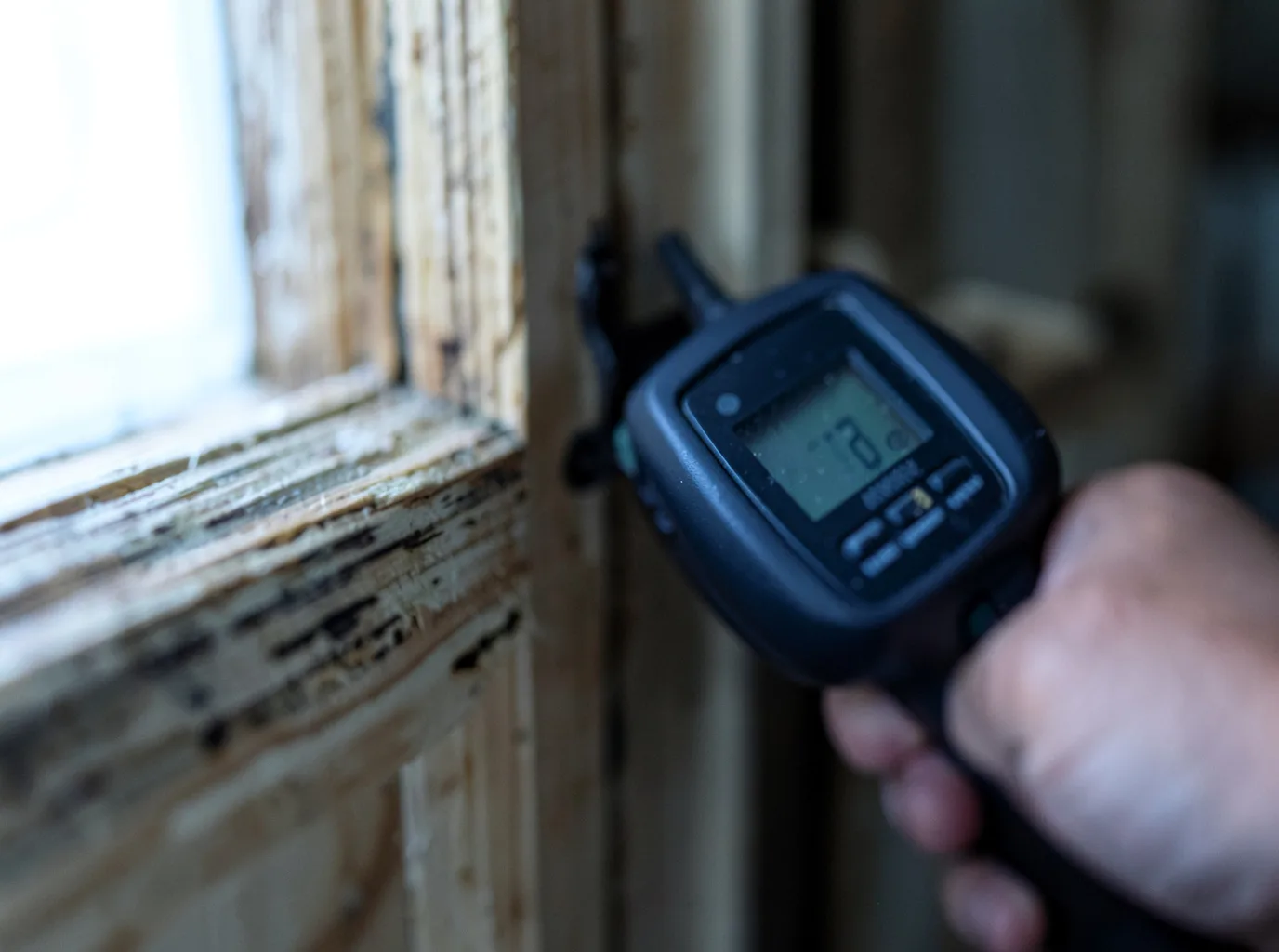 Moisture Inspection And Documentation in Premier, WV
